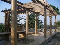 廣州同欣 木塑型材賦能康體設(shè)備，引領(lǐng)綠色運動新潮流